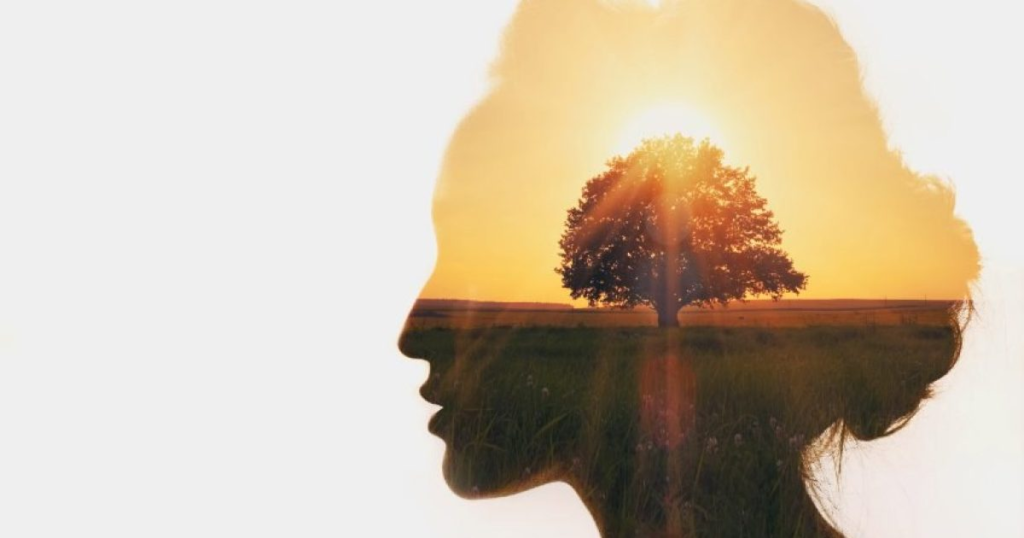 women rebuild life after trauma emotional healing strength